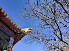 -沈阳辉山风景区