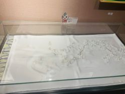 -太湖雪蚕桑文化园