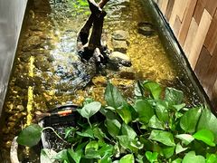 -邈墨茶馆(凤起路店)