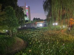 -桐乡植物园