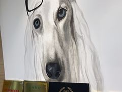 -美联众合动物医院·24h转诊中心