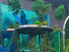 -石家庄万象城