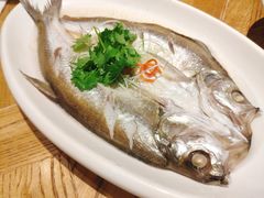 -新梅华(太仓万达店)