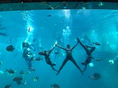 -瑞德姆美人鱼海底演艺主题餐厅(亚龙湾店)