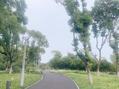 -金鸡湖景区