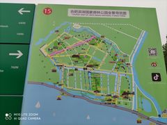-合肥滨湖国家森林公园