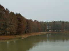 河塘-上海海湾国家森林公园