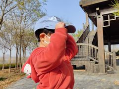 -天津东丽湖风景区
