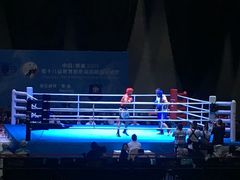 -成都金融城演艺中心