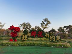 -南通鲜花小镇