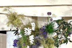 -天邑国际酒店·宴会厅