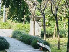 -福建鲤鱼洲酒店