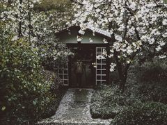 -中国茶叶博物馆(双峰馆区)