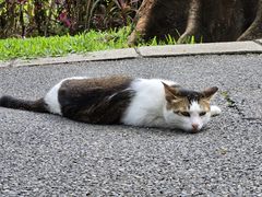 -晓港公园