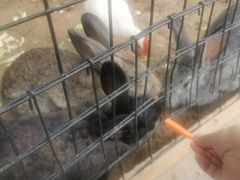 -有喜胶东小馆(超极合生汇太申祥和店)