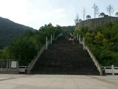 -铁山坪森林公园