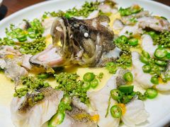 青青椒麻龙胆鱼-CHIC1699远洋私厨