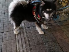 -川湘園(西华路店)