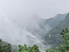 -六里坪国家森林公园