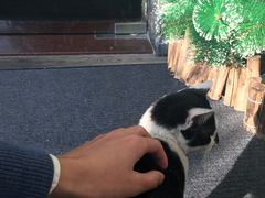 -虚荣精酿酒屋(五羊店)