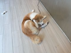-YCHL Studios健身工作室(市二宫店)