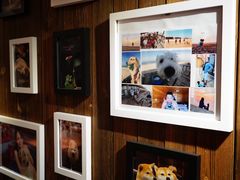 -百好乐宠物友好餐厅(朝外大街店)