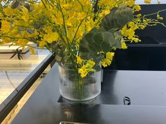 -BLACKSWAN黑天鹅(环球店)