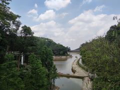 -广州市帽峰山景区