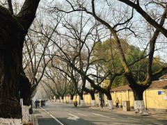 -颐和路民国时期公馆风貌区