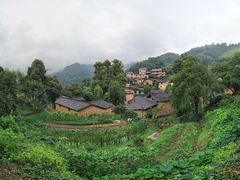 -杨家堂村