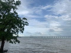 -宝安西湾红树林湿地公园