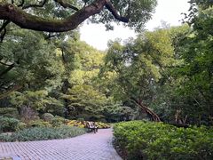 -中山公园