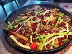 -老板恋上鱼(恒隆广场店)