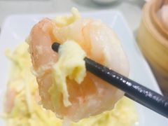 -南枝记