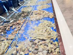 -渔公码头海货全海鲜自助(海滨旅游路店)