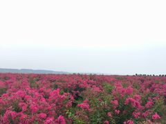 -古柏渡飞黄旅游区