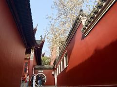 -长春观