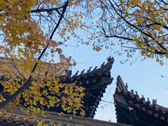 -大雁塔北广场音乐喷泉