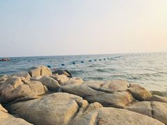 -老虎石海上公园