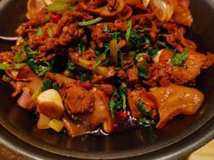 小炒黄牛肉-漫卷香烤鸭春饼
