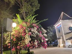-富国岛珍珠游乐园