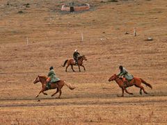 -塞罕坝国家级自然保护区