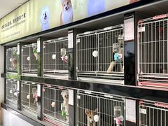 -翊宠yipet猫狗购宠庄园