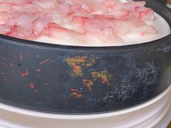 -活鱼馆(宜兴埠店)