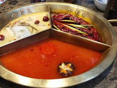 -小龙坎火锅(春熙太古里店)