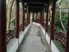 -上海佘山国家森林公园天马山园