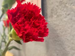 -红小满休闲餐厅(十全街店)