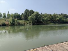 -中国湿地博物馆