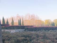 -洛阳市隋唐城遗址植物园