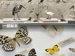 -中国湿地博物馆